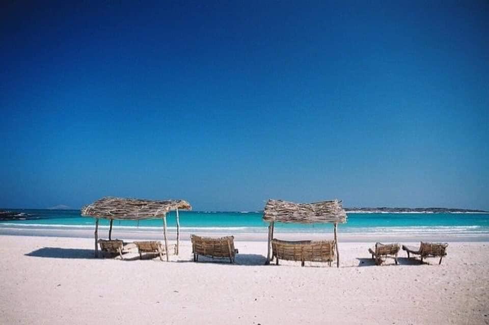  ليست المالديف، ولا ماوي، ولا لؤلؤة المحيط الهندي سيشيل.  إنها شواطئ بئر علي في شبوة!  لكم أن تتخيلوا كم ستتضاعف كمية هذا الجمال لو أننا في دولة تهتم بتحسين أرضها؟!